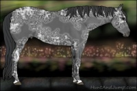Horse Color:Black Ice 