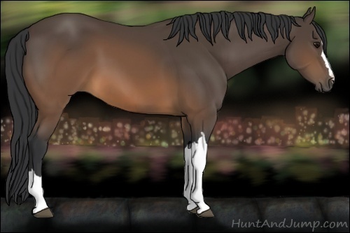 Horse Color:Brown 