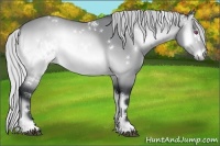 Horse Color:White Spotted Silver Brown Chinchilla Onyx 
