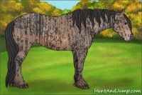 Horse Color:Brown Rabicano and Sable Champagne Rabicano