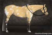Horse Color:White Spotted Buckskin Dun 