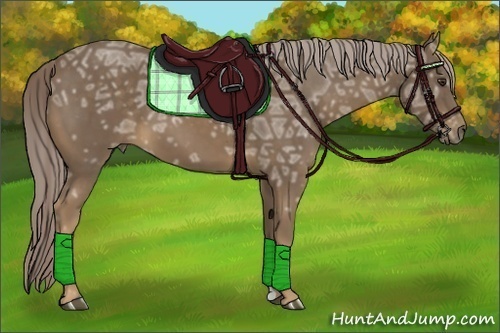 Horse Color:Chocolate Palomino Ice 