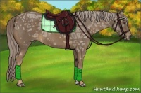 Horse Color:Chocolate Palomino Ice 