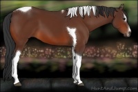 Horse Color:Brown Sabino Tobiano