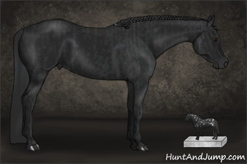 Horse Color:Black Chinchilla and Gray Black Chinchilla