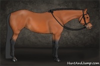 Horse Color:Bay and Bay Rabicano