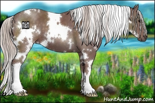 Horse Color:White Spotted Chocolate Silver Black