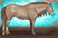 Horse Color:White Spotted Black Pearl