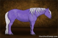 Horse Color:Watercolor Silver Black Chinchilla 