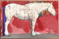 Horse Color:Painted Plaid  Brown Pearl Sabino Blanket  and Buckskin Roan Pearl 
