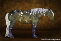 Horse Color:Watercolor White Spotted Silver Bay Ice 