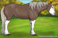 Horse Color:Silver Black Splash