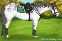 Horse Color:White Spotted Smoky Black Blanket 