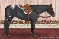 Horse Color:Black Varnish