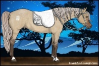 Horse Color:Silver Bay Roan Dun