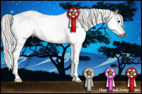 Horse Color:Gray White Spotted Silver Bay Splash 