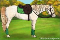 Horse Color:Buckskin Roan Pearl  and Buckskin Roan Pearl Frame 