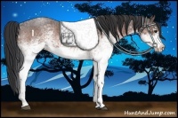 Horse Color:White Spotted Brown Roan Rabicano 