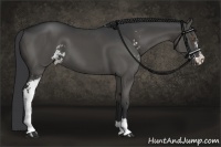Horse Color:Black Sabino 