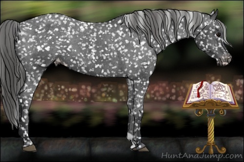 Horse Color:Black Snowflake Varnish 