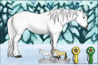 Horse Color:Gray Buckskin 