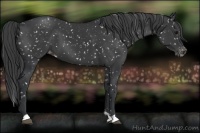 Horse Color:Black Snowflake Varnish 