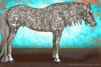 Horse Color:Chocolate Palomino Snowflake Varnish