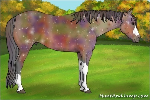 Horse Color:Nacre Bay 