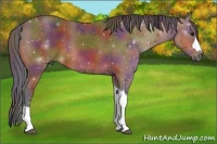 Horse Color:Nacre Bay 