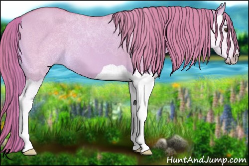Horse Color:Watercolor Red Dun Splash 