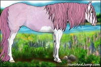 Horse Color:Watercolor Red Dun Splash