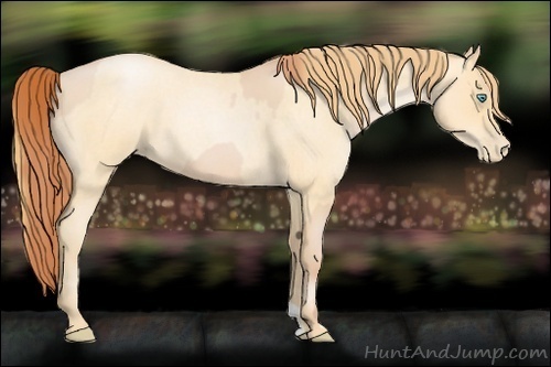 Horse Color:Buckskin Roan Pearl  and Buckskin Roan Pearl 