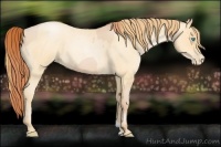 Horse Color:Buckskin Roan Pearl and Buckskin Roan Pearl
