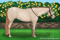 Horse Color:Smoky Black Pearl Splash 