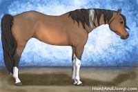 Horse Color:Buckskin Roan Tobiano 