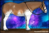 Horse Color:White Spotted Buckskin 