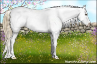 Horse Color:Liver Chestnut Splash Varnish
