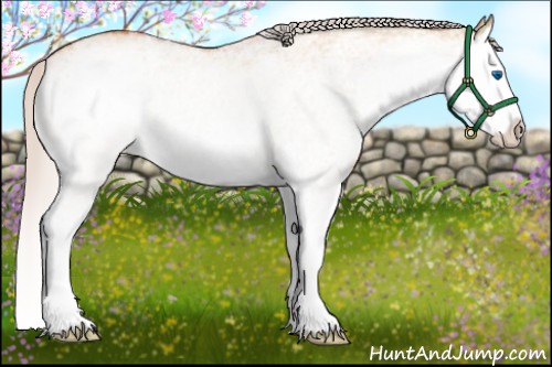 Horse Color:White Spotted Silver Bay Dun Splash 