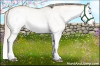 Horse Color:White Spotted Silver Bay Dun Splash 