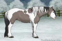 Horse Color:Grullo Splash Tobiano