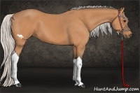 Horse Color:Silver Bay Tobiano