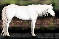 Horse Color:Perlino Frame