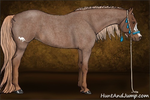 Horse Color:Red Roan 