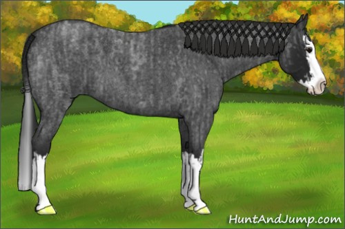 Horse Color:Blue Roan Sabino Splash  and Gray Blue Roan Sabino Splash 