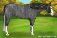 Horse Color:Blue Roan Sabino Splash  and Gray Blue Roan Sabino Splash 