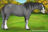 Horse Color:Blue Roan Sabino Splash and Blue Roan Sabino Splash