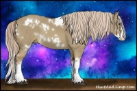 Horse Color:White Spotted Chocolate Palomino Dun Splash