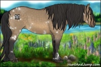 Horse Color:White Spotted Buckskin Dun 