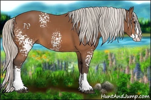 Horse Color:White Spotted Silver Bay Splash