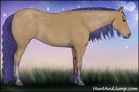 Horse Color:Watercolor Bay 